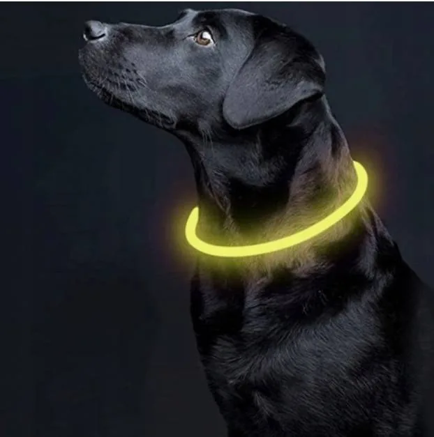 OBROŻA LED DLA PSA ŻÓŁTA REGULOWANA 3 TRYBY ŚWIECENIA ŁADOWANIE USB