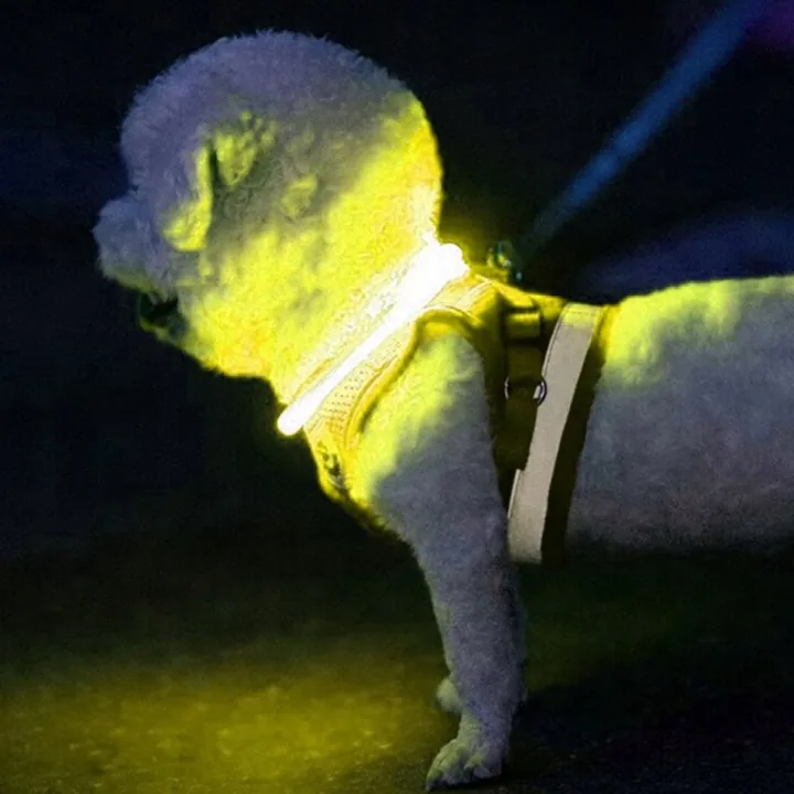 OBROŻA LED DLA PSA ŻÓŁTA REGULOWANA 3 TRYBY ŚWIECENIA ŁADOWANIE USB